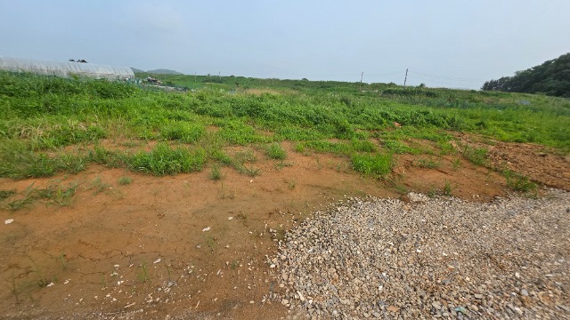 20250707_172957.jpg