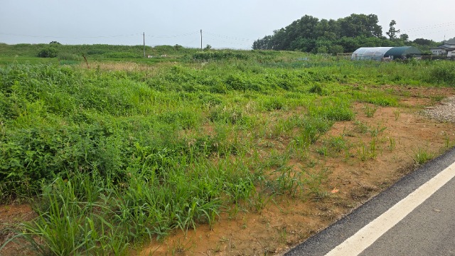 20250707_172922.jpg