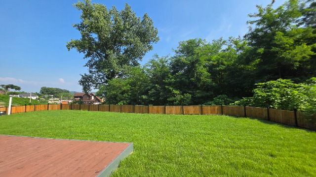 20250708_155045.jpg