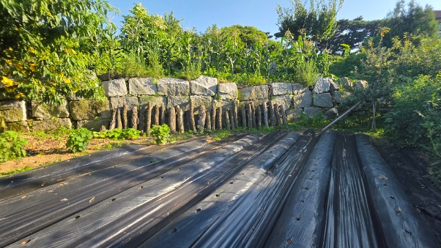 20250711_175449.jpg