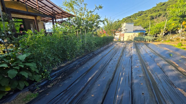 20250711_175335.jpg