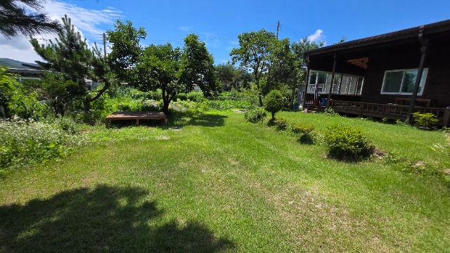 20250723_125409.jpg