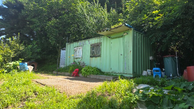 20250723_144522.jpg