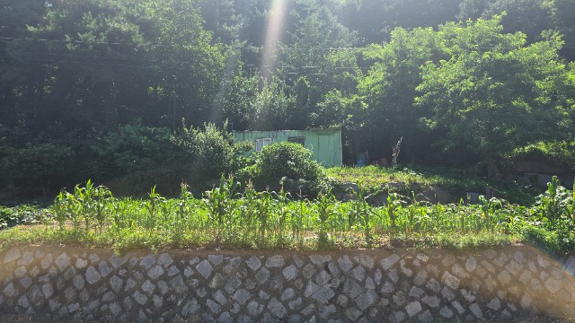 20250723_144858.jpg