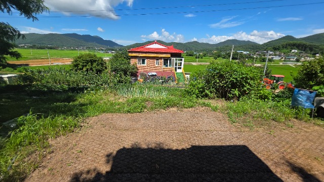 20250723_144604.jpg