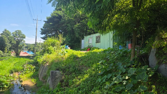 20250723_144504.jpg