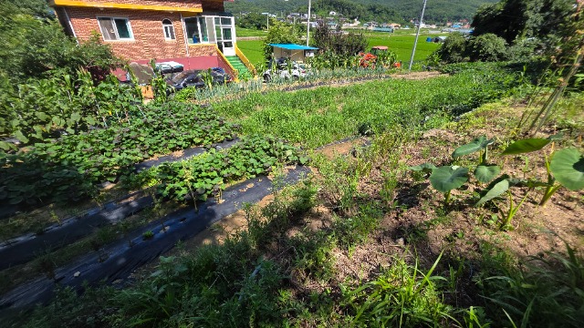 20250723_144531.jpg