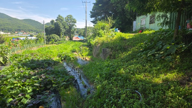 20250723_144448.jpg