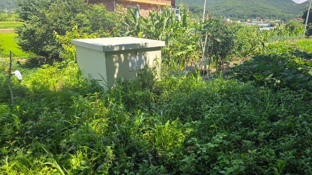 20250723_144437.jpg
