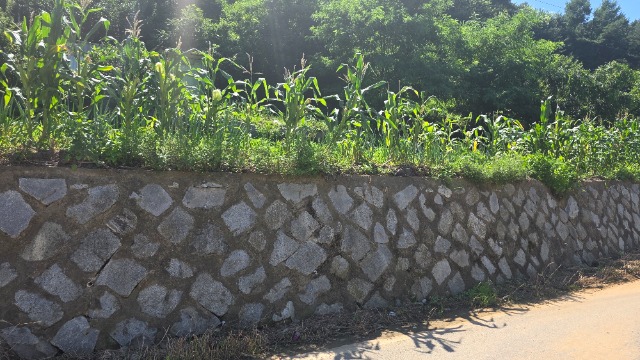 20250723_144311.jpg