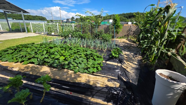 20250723_153142.jpg