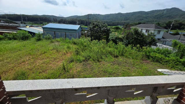 20250826_110948.jpg