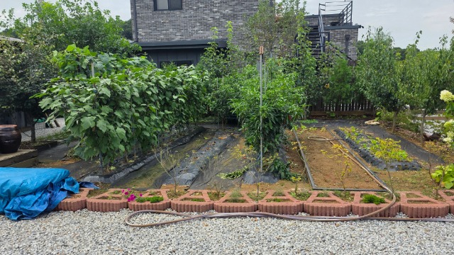 20250904_131526.jpg