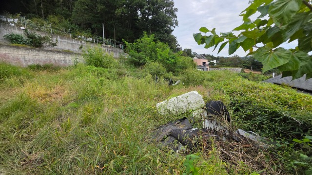 20250923_162757.jpg