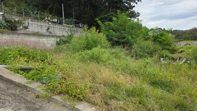20250923_162606.jpg