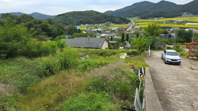 20250923_162639.jpg