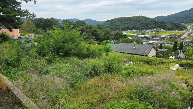 20250923_162641.jpg