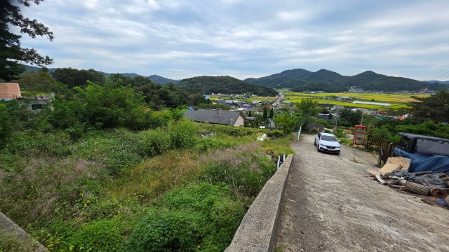 20250923_162716.jpg