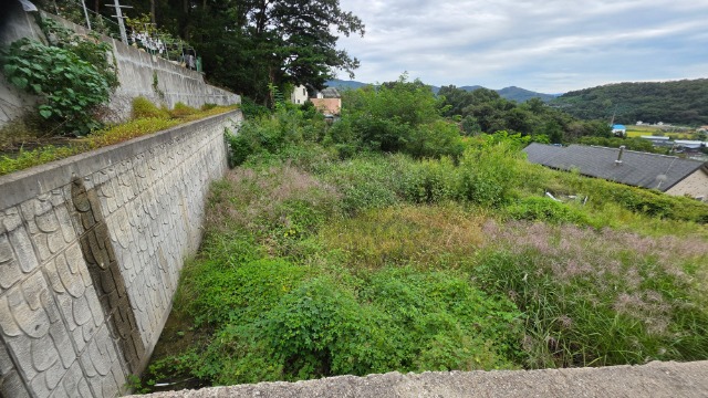 20250923_162727.jpg