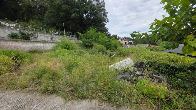 20250923_162819.jpg