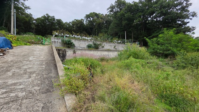 20250923_162826.jpg