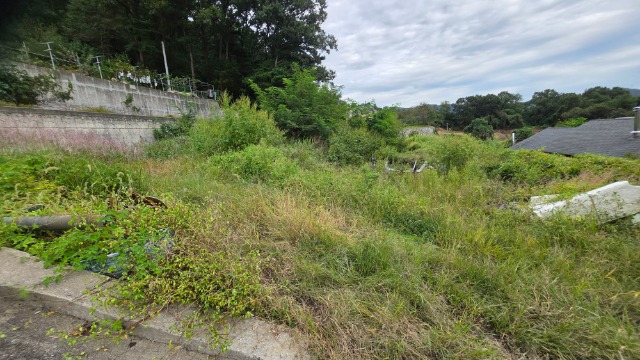 20250923_162837.jpg