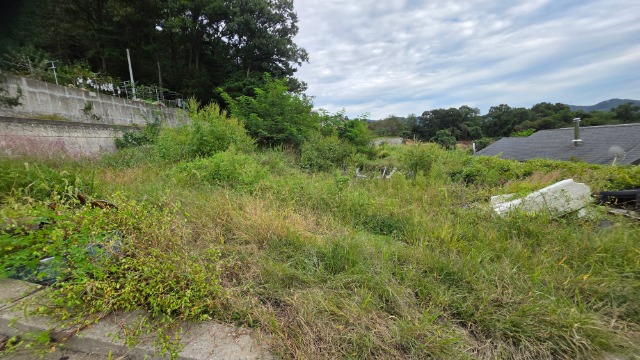 20250923_162839.jpg