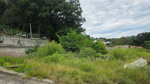 20250923_162856.jpg