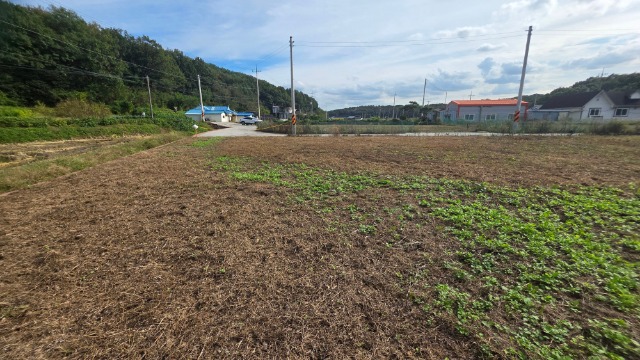 20251015_135506.jpg