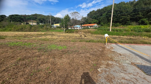 20251015_135630.jpg