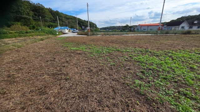 20251015_135436.jpg