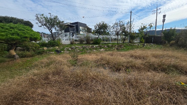 20251024_114207.jpg
