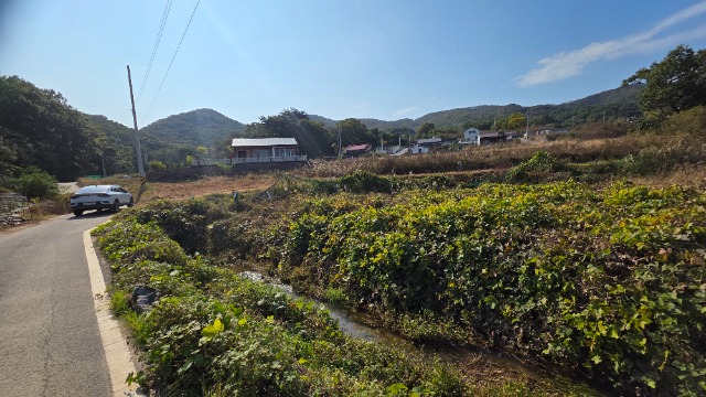 20251029_112750.jpg