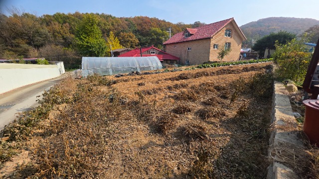 20251106_133607.jpg