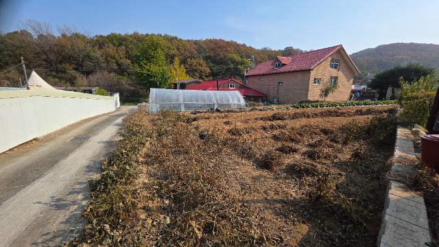 20251106_133600.jpg