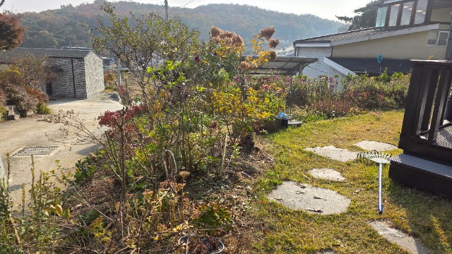 20251106_140132.jpg