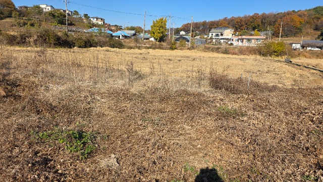 20251114_105607.jpg