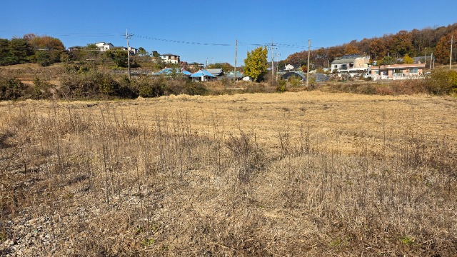 20251114_105617.jpg