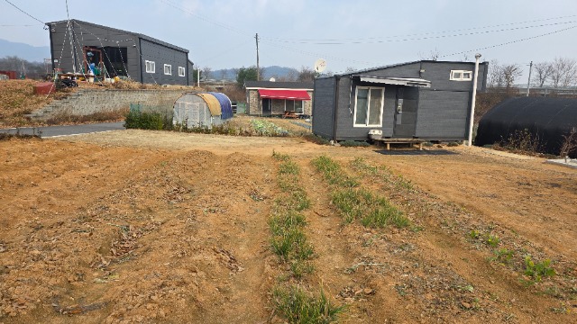 20251124_112120.jpg
