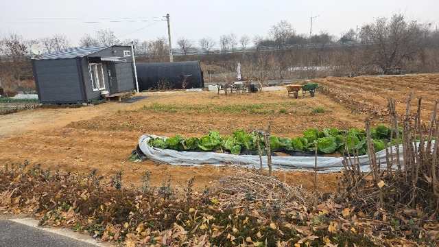 20251124_112338.jpg