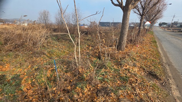 20251211_112939.jpg