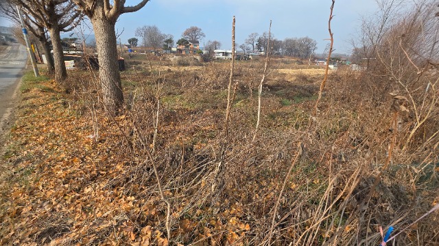 20251211_112917.jpg