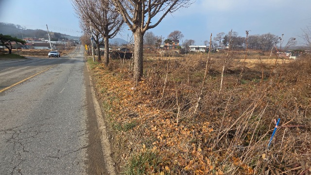 20251211_112911.jpg