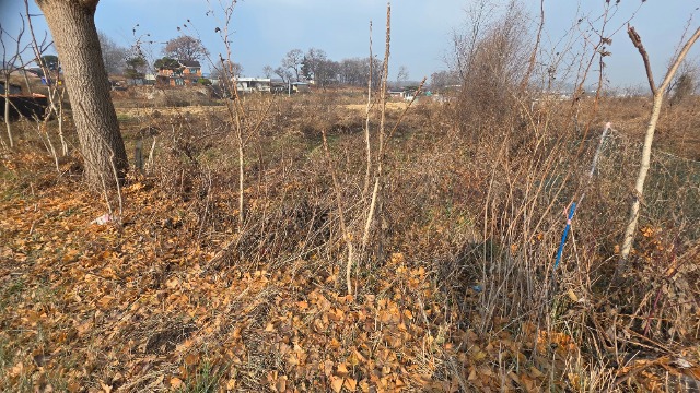 20251211_112905.jpg