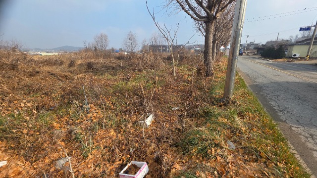 20251211_113145.jpg
