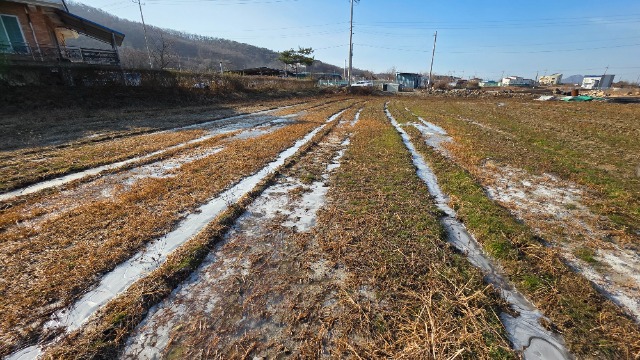 20251212_105334.jpg