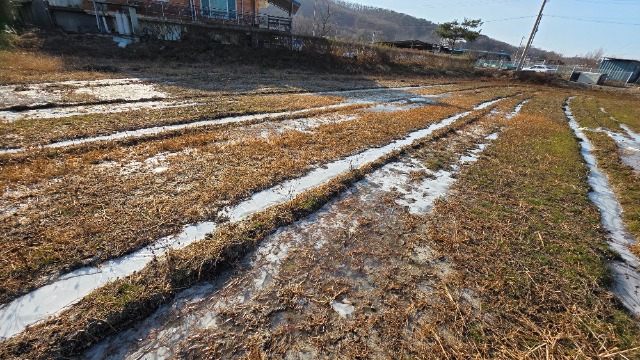 20251212_105336.jpg