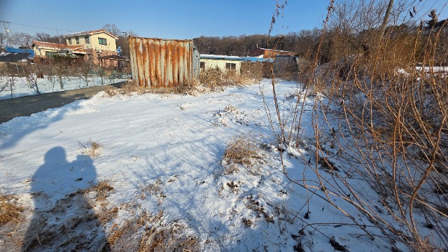 20260114_102600.jpg