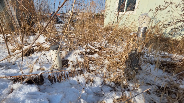 20260114_102704.jpg