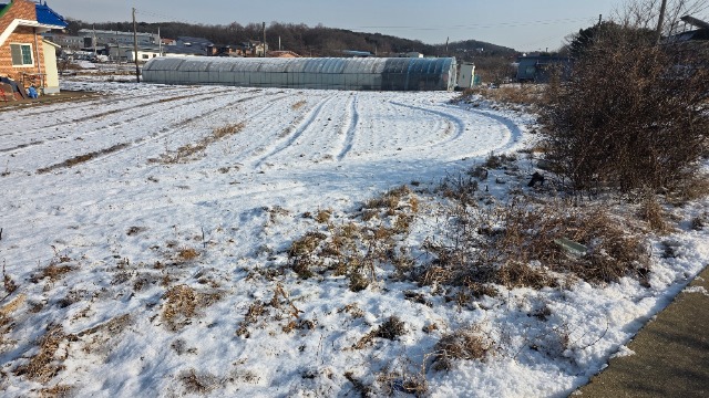 20260114_105621.jpg